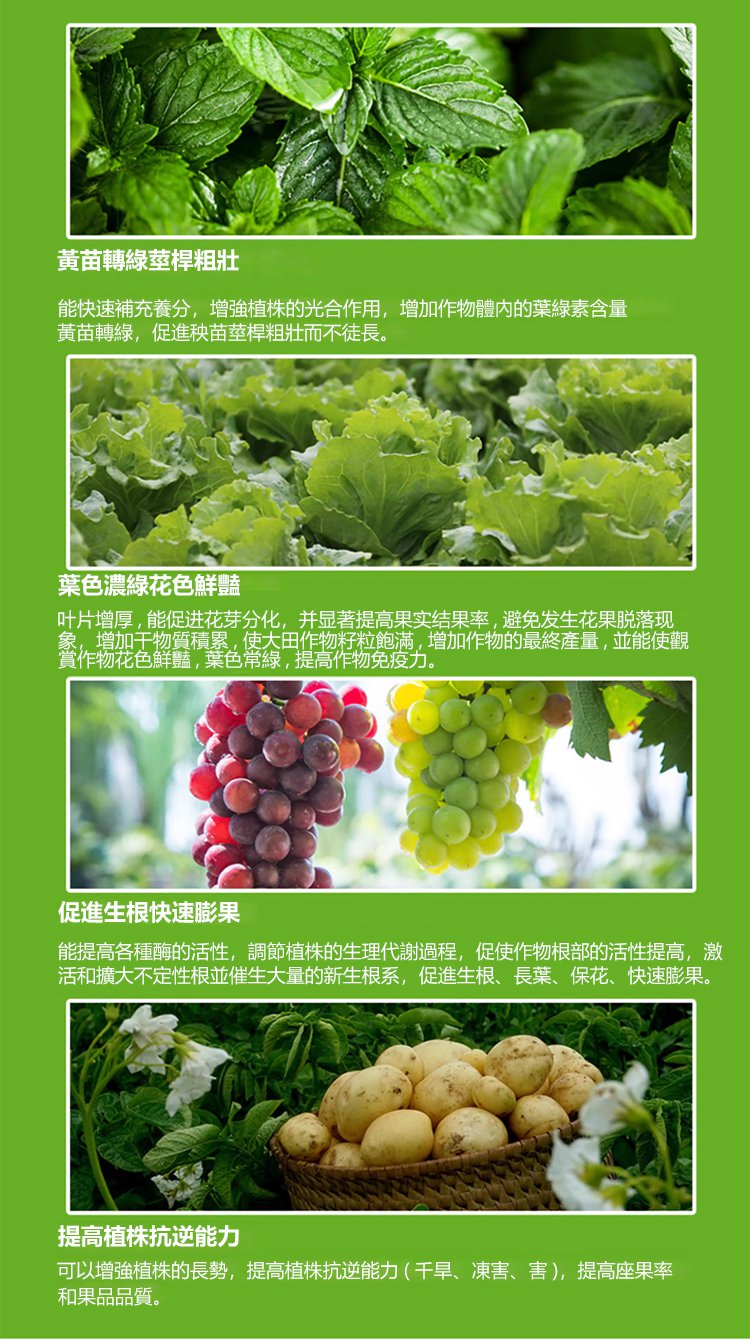 ac646a720d9e97210f1f425f3f5e4e7.png