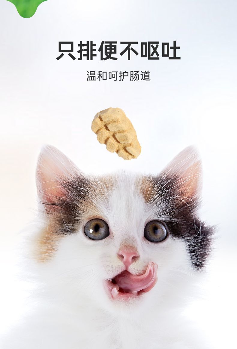 详情-01_20240219170600_206.jpg