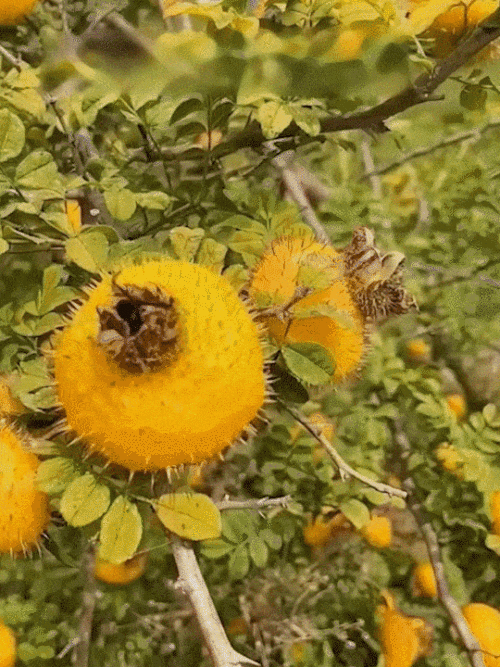 123.gif