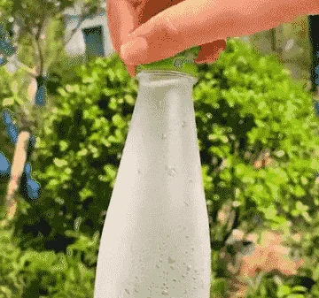 1.gif