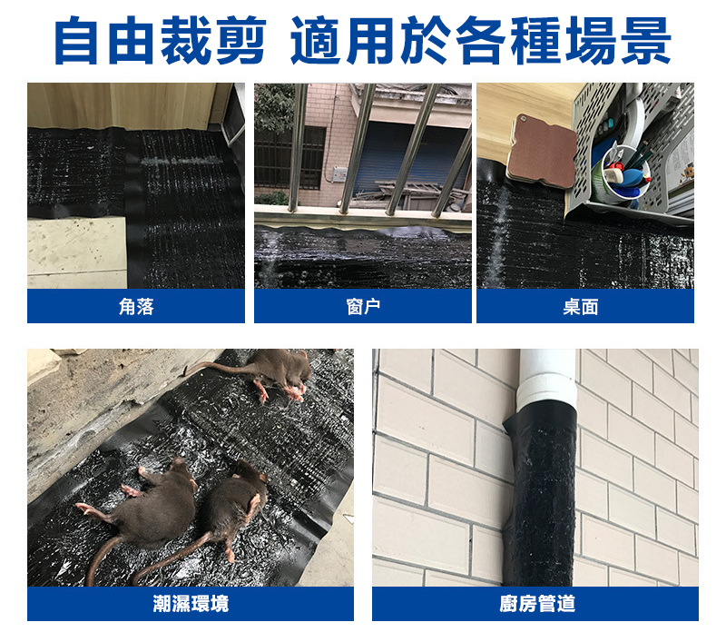 86d2246ccc3a67a67b0b1d3463917fc0.jpg